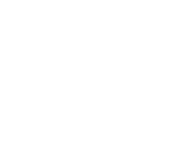 Smartphone Report-App - advasco | icon white