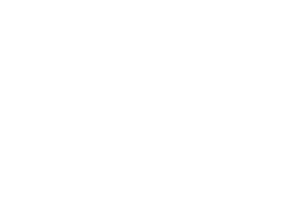 Technische Redaktion - advasco | icon white