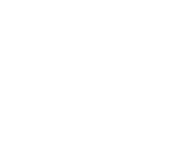 Aftersales Portal with RMI | Icon white EN