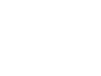 Single Sign-On | Icon white