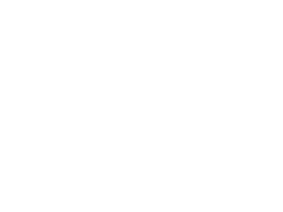 Smartphone Reporting App | Icon white